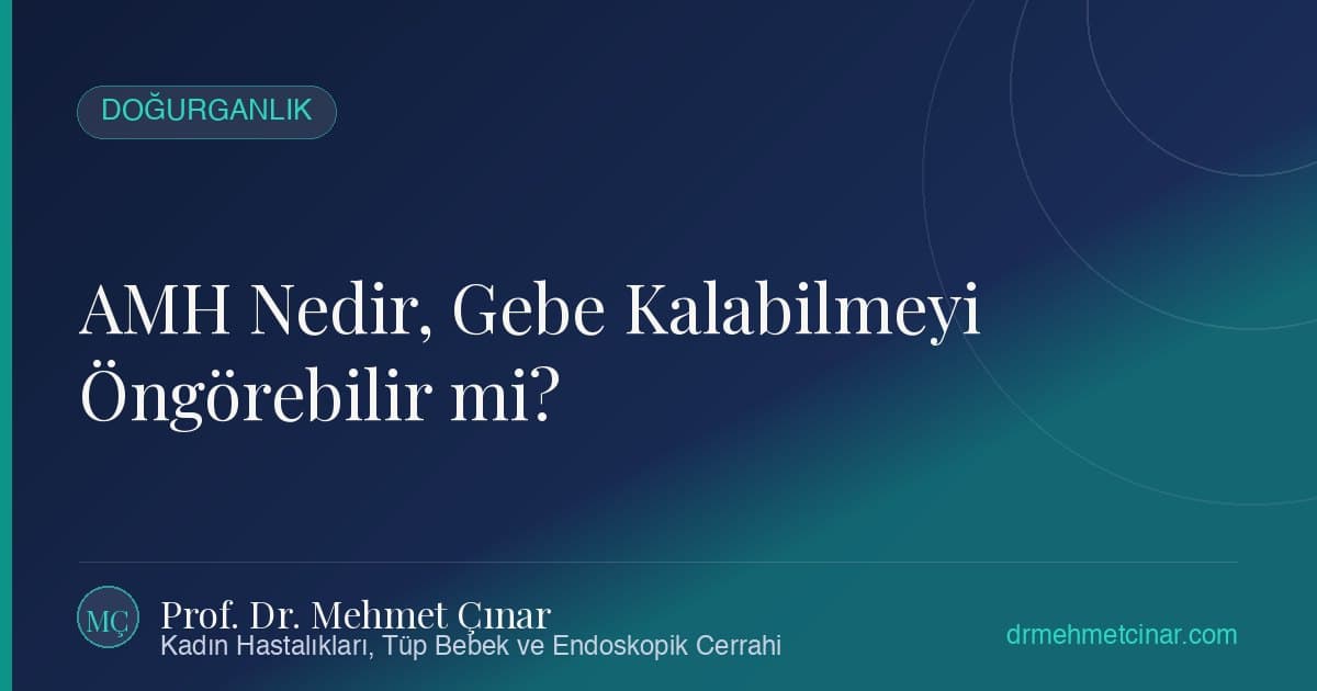 Çikolata Kisti (Endometrioma) Ameliyatı Yumurta Rezervini Düşürür mü?