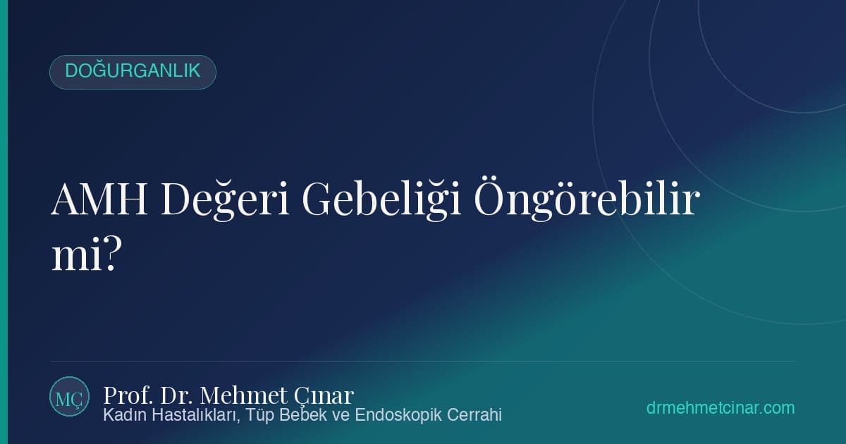 Düşük AMH ve Endometriozis: Tüp Bebekte Şansı Artırmak