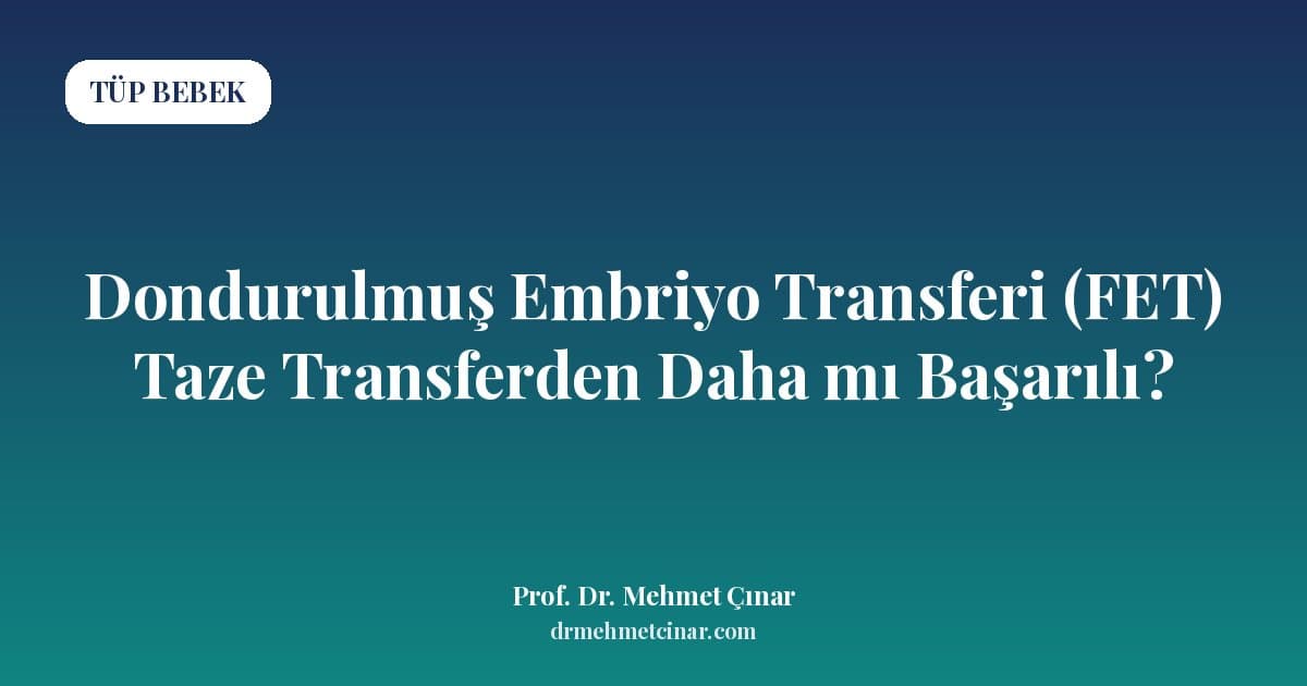 Endometriozis Hastasında Hangi Tüp Bebek Protokolü Uygulanır?
