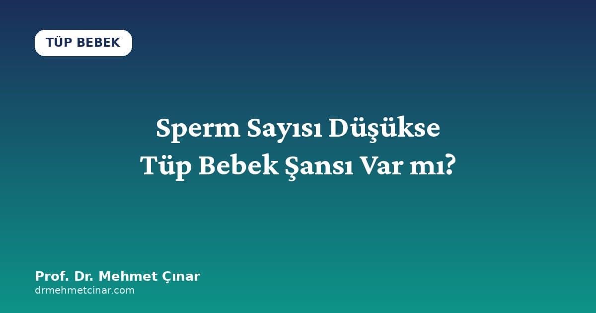 Sperm Sayısı Düşükse Tüp Bebek Şansı Var mı?