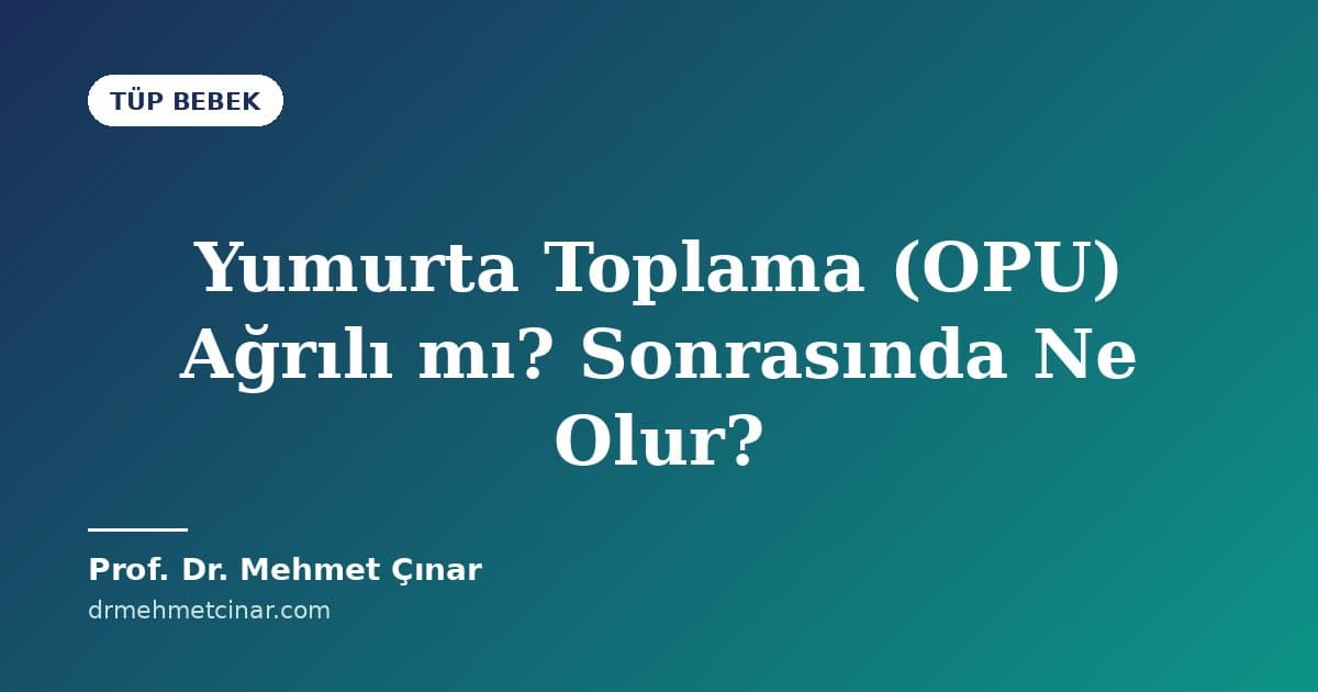 Yumurta Toplama (OPU) Ağrılı mı? Sonrasında Ne Olur?