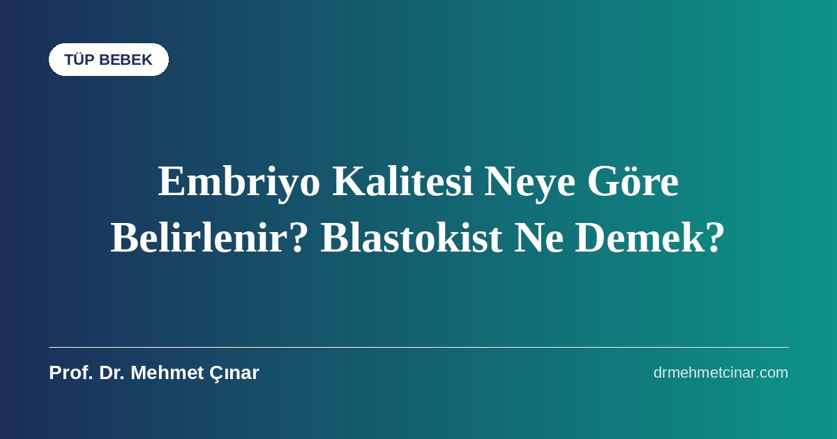 Embriyo Kalitesi Neye Göre Belirlenir? Blastokist Ne Demek?