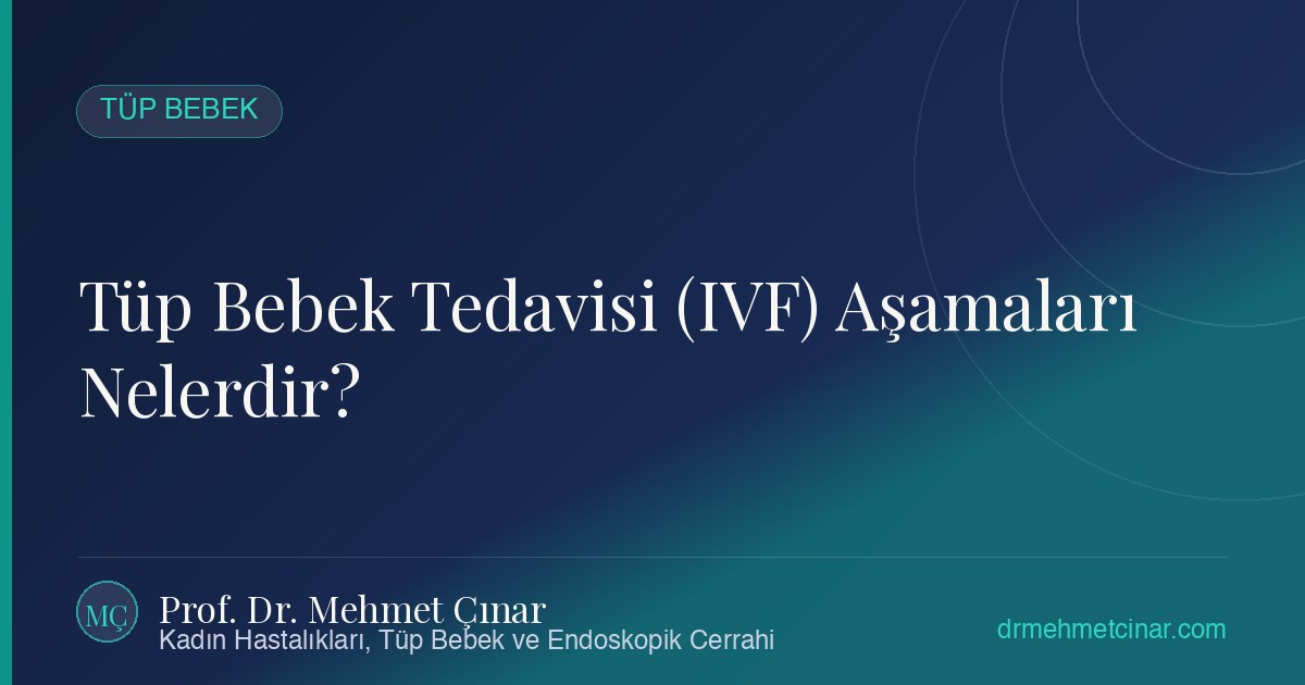 Tüp Bebek Tedavisi (IVF) Aşamaları Nelerdir?